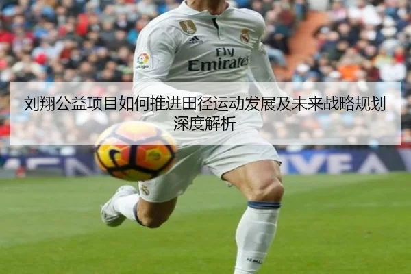 刘翔公益项目如何推进田径运动发展及未来战略规划深度解析